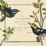Summer Pages II Print by Sue Schlabach