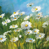 Summer Field II Print by Danhui Nai
