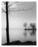 Tranquil Cove Posters
