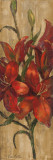 Vivid Red Lily on Gold Prints by Silvia Vassileva Vivid Red Lily on Gold Prints by Silvia Vassileva
