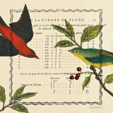 Summer Pages I Prints by Sue Schlabach