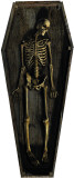 Skeleton Casket Stand Up