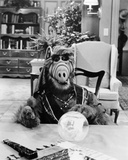 ALF Photo