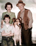 Jon Provost - Lassie Photo