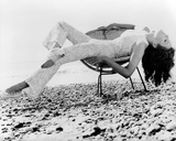 Diana Rigg - The Avengers Photo