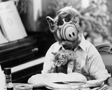 ALF Foto