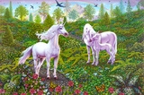 Unicorn Gardens Plakater