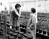 Harold y Maude (Joven chalado millonario seduce a vieja chiflada) Fotografía Harold y Maude (Joven chalado millonario seduce a vieja chiflada) Fotografía