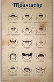 The Moustache Print
