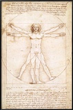 Human Proportions - Vitruvius Man Prints by Leonardo Da Vinci