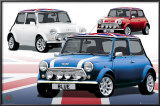 MINIS Print