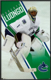 Canucks - R Luongo 2010 Photo