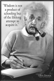 Einstein - Wisdom Prints