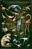 Feathered Dinosaurs I Posters