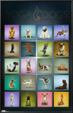 Yoga Dogs Posters