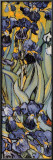 Irises, Saint-Remy, c.1889 (detail) Prints by Vincent van Gogh