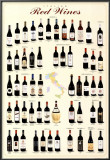Italian Red Wines Posters