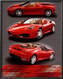 F-430 Spider Prints