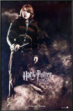 Harry Potter And The Goblet Of Fire Print