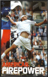 Andy Roddick Poster