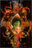 Timewarp Posters