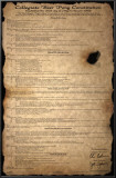 Beer Pong Constitution Posters