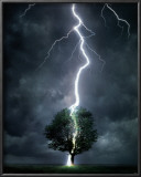 Lightning Posters
