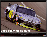 Jimmie Johnson - Determination Prints