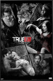 True Blood - Shattered Mirror Posters