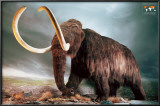 Woolly Mammoth Posters