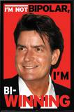Charlie Sheen - Bi-Winning Posters