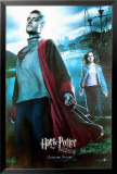 Harry Potter og flammernes pokal Plakater