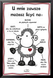 Sheepworld - Immer Pl Fotografía