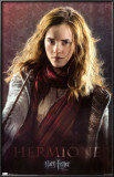 Harry Potter and the Deathly Hallows - Hermione Posters