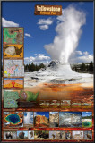 Yellowstone National Park Prints