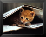 Chat doué Posters par Stuewer 