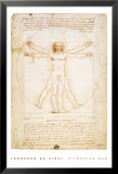 Leonardo DaVinci's Vitruvian Man Pósters