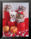 Chats et cerises Posters par Chris Nikolson