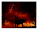 Nature's Morning Giclee Print by Julie Fain