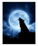 Cries of the Night Giclee Print by Julie Fain