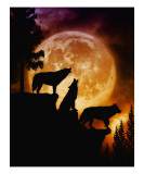 Wolves Peak reproduction procédé giclée par Julie Fain