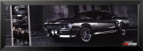 GT 500 Kunstdrucke