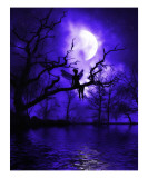 Julie Fain - Celestial Night - Giclee Baskı Julie Fain - Celestial Night - Giclee Baskı