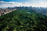 Central Park New York Poster