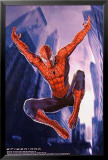 Spider-Man Poster