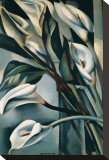 Arums II Stretched Canvas Print by Tamara De Lempicka