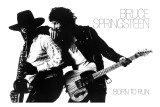 Concert Poster: Bruce Springsteen Affiches
