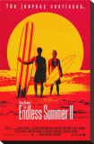 Endless Summer 2 Stretched Canvas Print