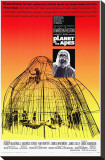 Planet of the Apes Płótno naciągnięte na blejtram - reprodukcja Planet of the Apes Płótno naciągnięte na blejtram - reprodukcja