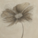 Tonal Flowers II Prints by Emma Forrester